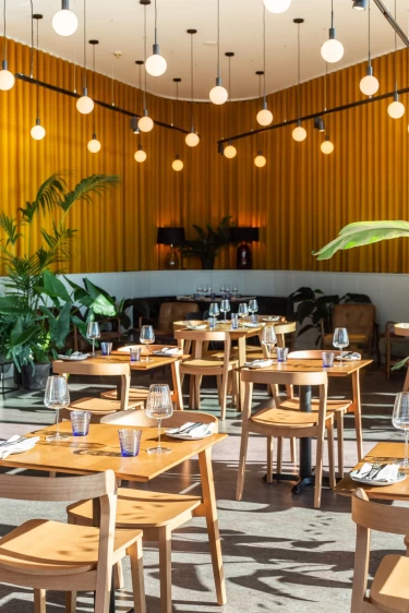 Wooden tables and chairs set for dinner in a room with lots of natural light and plantlife